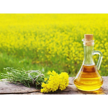 Cold Pressed Yellow Mustard Oil (1L)