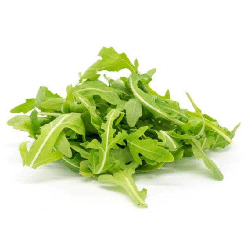 Buy Hydroponic Herbs Online in Banglore