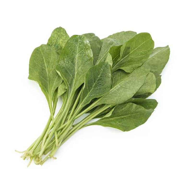 Hydroponic Spinach | Organically Grown Spinach - Buy Online